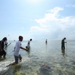 Kegiatan Tombak Ikan, Daya Tarik Wisata Desa Wasuemba