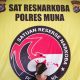Edarkan Sabu di Bulan Puasa, Wanita Asal Makassar Ini Diringkus Aparat Polres Muna