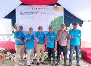 BPDAS Sampara Sebut Rehabilitasi Mangrove Paling Banyak di Muna, Jadi Pusat Penanaman Serentak Pertama untuk Wilayah Kabupaten