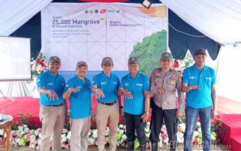 BPDAS Sampara Sebut Rehabilitasi Mangrove Paling Banyak di Muna, Jadi Pusat Penanaman Serentak Pertama untuk Wilayah Kabupaten