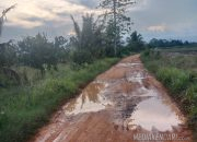 Peduli dan Tanggap Keluhan Warga, Partai Gerindra Lanjutkan Pengerjaan Ruas Jalan di Besulutu Sepanjang 11.8 Km