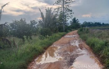 Peduli dan Tanggap Keluhan Warga, Partai Gerindra Lanjutkan Pengerjaan Ruas Jalan di Besulutu Sepanjang 11.8 Km