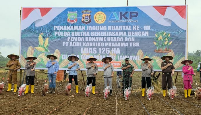 Kapolda Sultra Turun ke Lahan, Tanam Jagung Bersama Warga Konawe Utara
