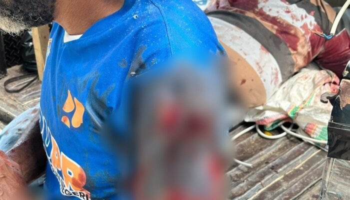 Aksi Keji KKB di Nabire, Warga Sipil Jadi Sasaran: Satgas Damai Cartenz Bergerak Cepat