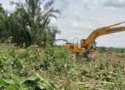 PT. Marketindo Diduga Lakukan Penggusuran Paksa, Lahan Warisan Warga Lamooso Hancur Digali Alat Berat