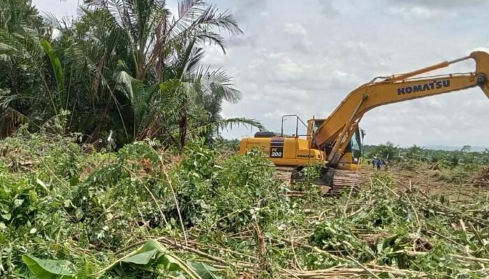 PT. Marketindo Diduga Lakukan Penggusuran Paksa, Lahan Warisan Warga Lamooso Hancur Digali Alat Berat