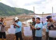 Brimob Polda Sultra Hijaukan Pesisir Kolaka Utara, Puluhan Mangrove Ditanam