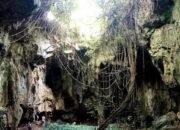 Chamber Raksasa dan Tanaman Hijau Jadi Daya Tarik Utama, Gua Bangkudu Jadi Spot Foto Alami Paling Eksotis di Muna Barat