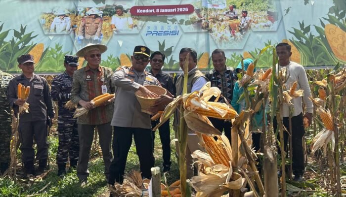 Polda Sultra Panen Raya Jagung Awal 2026, Tegaskan Komitmen Jaga Ketahanan Pangan