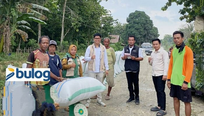 Pembelian Gabah di Tingkat Petani, Langkah Strategis KaBulog Konawe Muh Abdan Djarmin