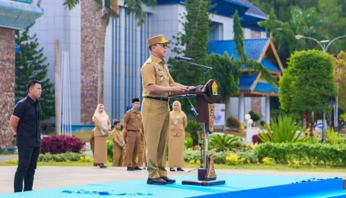 Dorong Ekonomi Daerah, Gubernur Sultra Minta Anggaran Jadi Stimulus Kesejahteraan