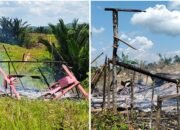 Diduga Tanpa HGU dan AMDAL, PT Marketindo Selaras Gusur Paksa Warga Angata