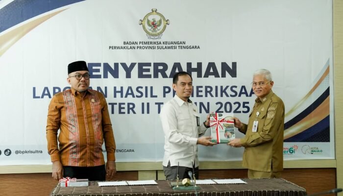 Gubernur Sultra Apresiasi LHP Kinerja BPK Terkait Ketahanan Pangan