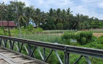Jembatan Rusak di Poleang Utara Kembali Makan Korban, Warga Desak Perbaikan Permanen
