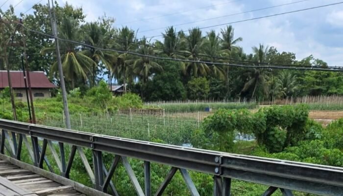 Jembatan Rusak di Poleang Utara Kembali Makan Korban, Warga Desak Perbaikan Permanen