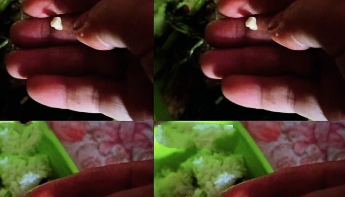 Program Makan Bergizi Gratis Nasional Gagal Kontrol Kualitas, Temuan Batu di Konawe Jadi Bukti Sorotan!