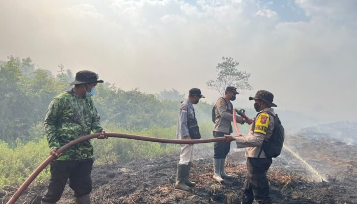 10 Hektare Lahan Gambut Terbakar di Koltim, Kapolsek Mowewe Turun Langsung Padamkan Api