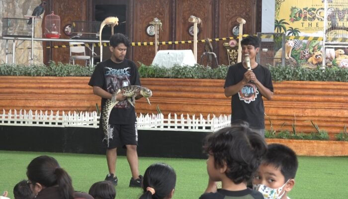 Discover The Wild Season 3 Kembali Digelar, Hadirkan Edukasi dan Pameran Satwa di Hotel Qubah Kendari