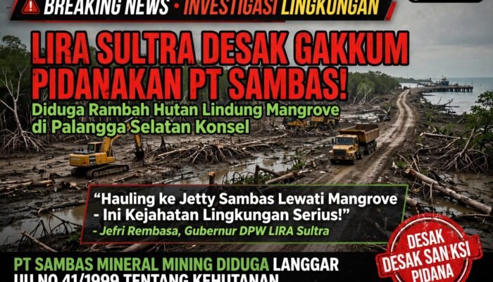 LIRA Sultra Desak Gakkum Beri Sanksi Pidana PT Sambas Atas Dugaan Perambahan Hutan Mangrove