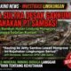 LIRA Sultra Desak Gakkum Beri Sanksi Pidana PT Sambas Atas Dugaan Perambahan Hutan Mangrove